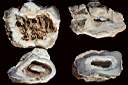 agate geode0007.jpg